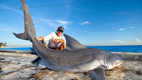 Landshark Outdoors