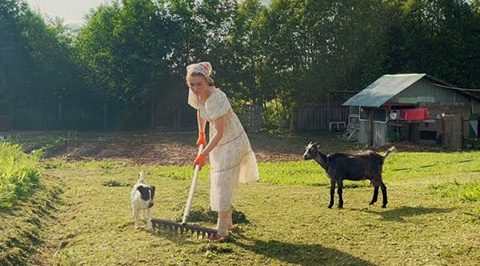 Nastya and village life