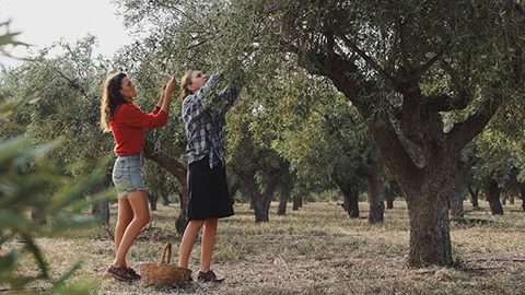 Finca La Maye