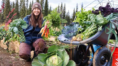 Simple Living Alaska