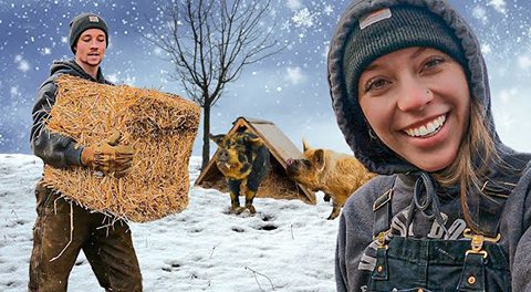 The Pastured Homestead