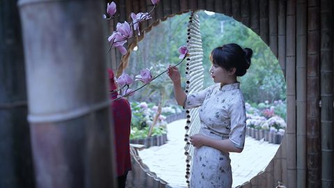 李子柒 Liziqi