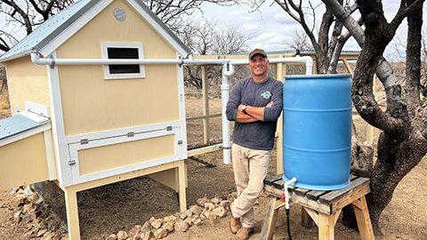 homesteadonomics