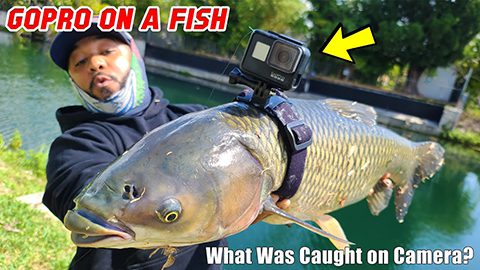 Monster Mike Fishing