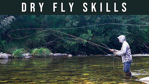 Peachy Fly Fishing
