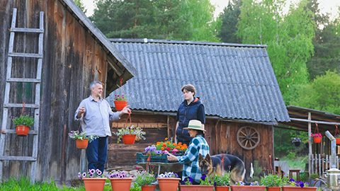 VillageForestHouse