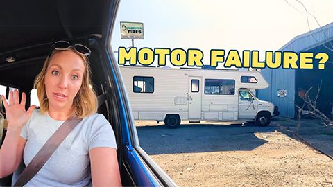 Wild RV Life